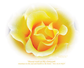 "Pleasant Words" Christian Photography - Unframed Christian Art