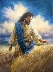 Reaping The Harvest by Nathan Greene - 3 Options Available