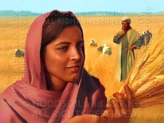 Ruth And Boaz - 13 Selections Available