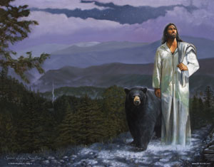 Spirit Of The Smokies by Steven S. Sawyer - 9 Options Available