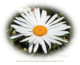 "Strength" Christian Photography - Unframed Christian Art
