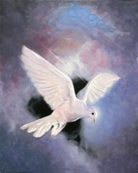 The Holy Spirit by Stephen S. Sawyer - 12 Options Available