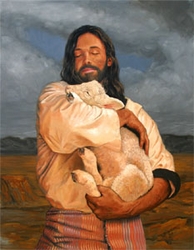 The Lamb by Stephen S. Sawyer - 12 Options Available
