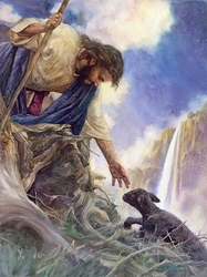The Rescue by Nathan Greene - 3 Options Available
