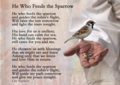 He Who Feeds The Sparrow by Danny Hahlbohm - Unframed Christian Art