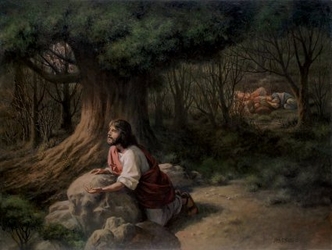 Thy Will Be Done by James Seward - 7 Unframed Options