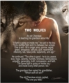 Two Wolves by Danny Hahlbohm - Unframed Christian Art