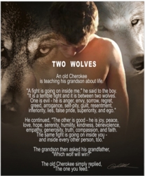 Two Wolves by Danny Hahlbohm - Unframed Christian Art