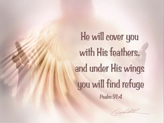 Under His Wings by Danny Hahlbohm - Unframed Christian Art