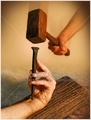 Willing by Steve Creitz - 14 Selections Available