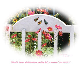 "Wisdom" Christian Photography - Unframed Christian Art