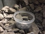 DAY OF THE DEAD Wampum Mine Rocks DAY OF THE DEAD Wampum Mine Rocks