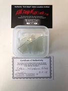 Evil Dead 2 Cabin Window Glass Pieces Artifacts