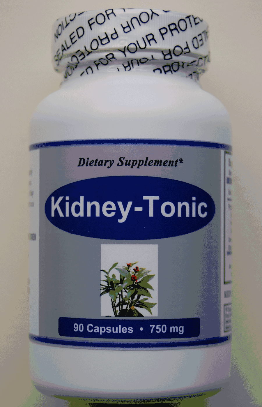 Kidneytonic Natural Support for Healthy Kidney