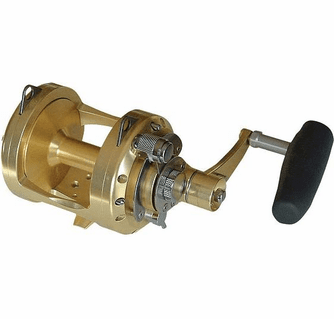 Avet EX30/2 2-Speed Fishing Reel Avet EX30/2 2-Speed Fishing Reel