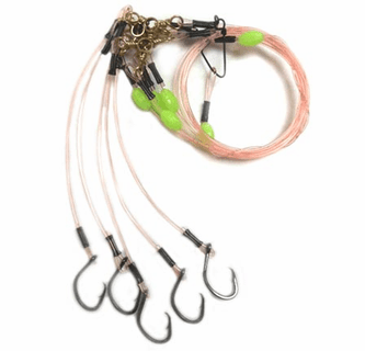 best surf fishing rod reel Top Saltwater Spinning Reels