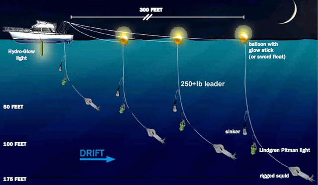 Westcoast Offshore 2-Hook Deep Drop Rig – Ultra HD, Glow – Bottom Fishing For Rock Cod, USA Made