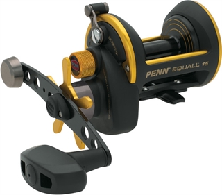Penn Squall Star Drag Conventional Reels