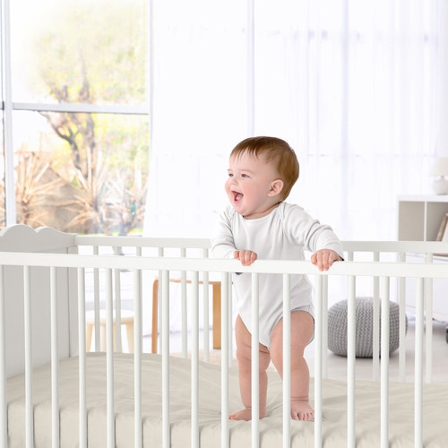 Desert Sun Collection 2 Pack Crib Sheets - alt image 3