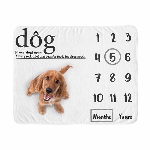 Dictionary Collection Dog Birthday Milestone Blanket