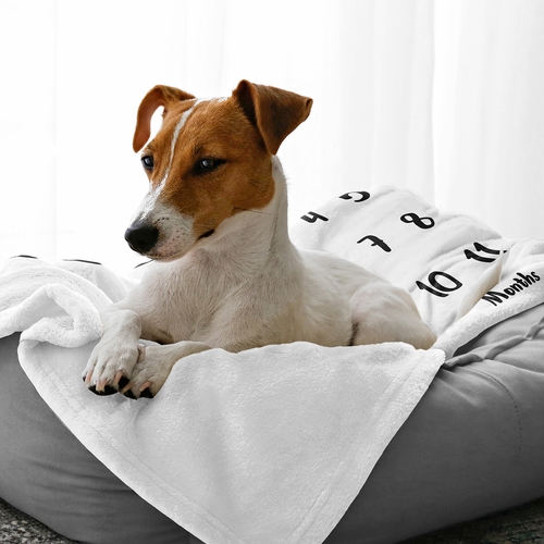 Dictionary Collection Dog Birthday Milestone Blanket - alt image 2