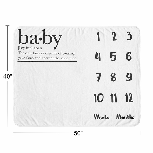 Dictionary Collection Monthly Milestone Baby Blanket - alt image 3