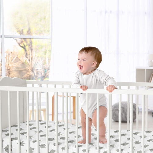 Elephant Grey and Mint Collection Crib Sheet - alt image 1