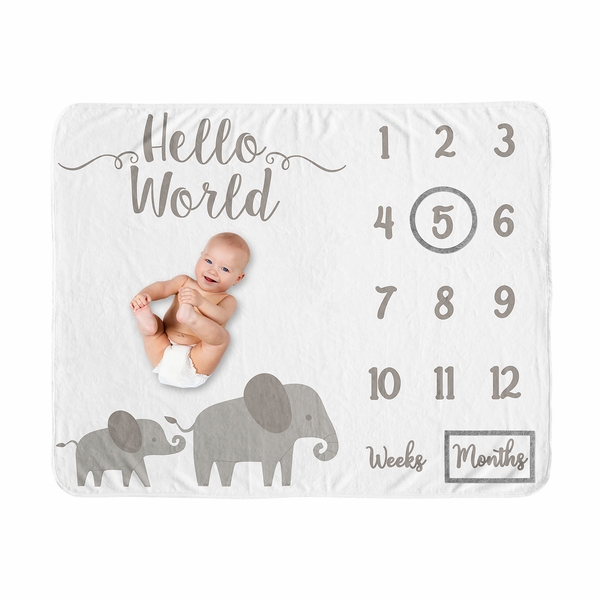 Elephant Grey and Mint Collection Monthly Milestone Baby Blanket