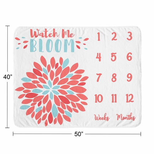 Emma Collection Monthly Milestone Baby Blanket - alt image 3