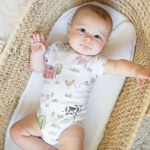 Farm Animals Collection 0-6M Baby Clothes Bodysuits - 2 Pack Set - alt image 2