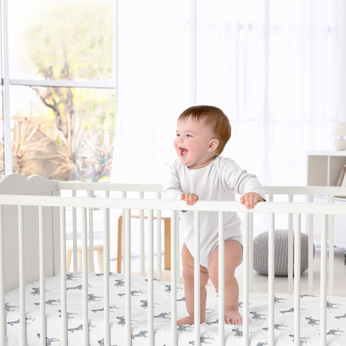 Jungle Collection Crib Sheet - Zebra Print - alt image 1