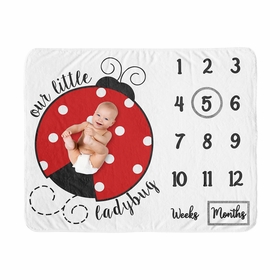 Little Ladybug Collection Monthly Milestone Baby Blanket