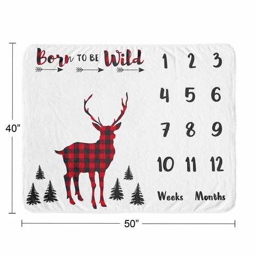 Lumberjack Collection Monthly Milestone Baby Blanket - alt image 3