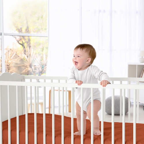 Mod Dinosaur Black and Orange Collection Crib Sheet - Solid Rust - alt image 1