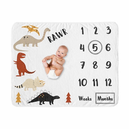 Mod Dinosaur Black and Orange Collection Monthly Milestone Baby Blanket