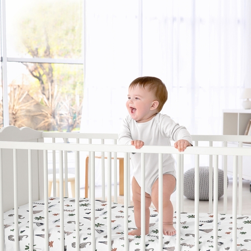 Modern Dinosaurs Collection Crib Sheet - alt image 1