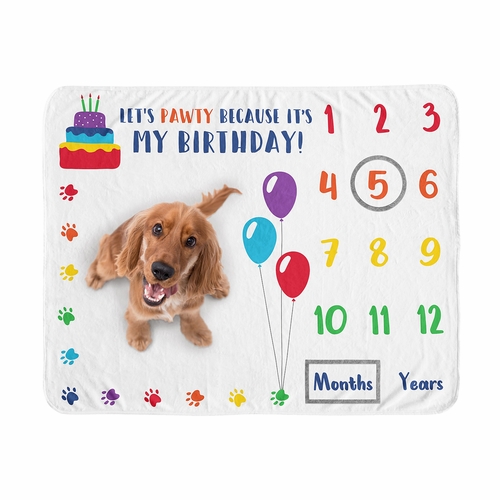 Pawty Party Collection Dog Birthday Milestone Blanket