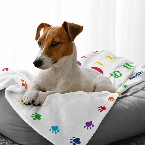Pawty Party Collection Dog Birthday Milestone Blanket - alt image 2
