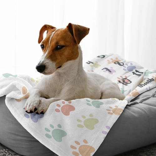 Rainbow Paw Print Collection Dog Birthday Milestone Blanket - alt image 2