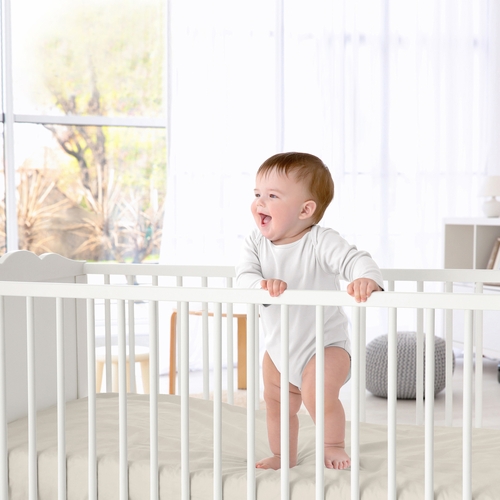 Serengeti Animals Collection Crib Sheet - Solid Taupe - alt image 1