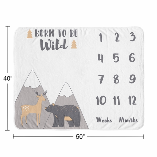 Woodland Friends Collection Monthly Milestone Baby Blanket - alt image 3