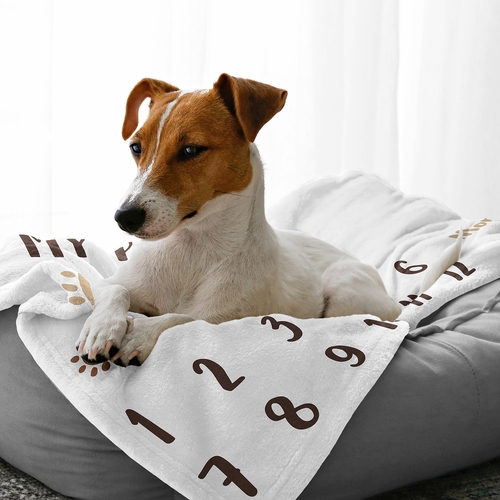 Woof Collection Dog Birthday Milestone Blanket - alt image 2