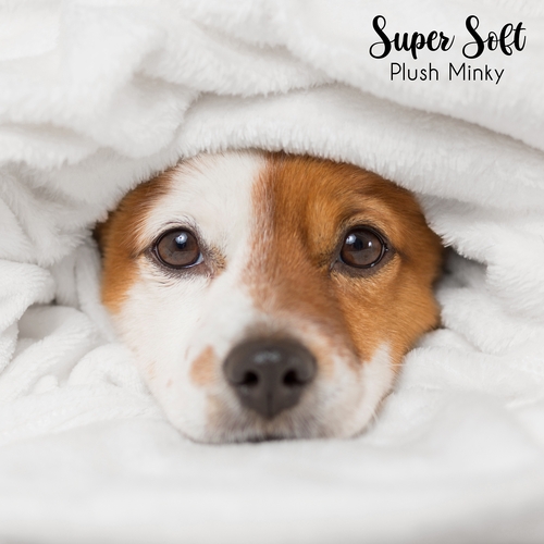 Woof Collection Dog Birthday Milestone Blanket - alt image 4