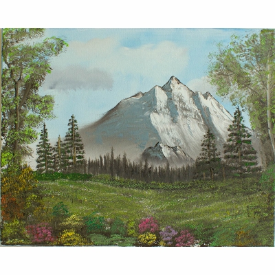 Mountain Grassy Path