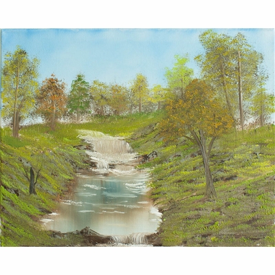 Springtime Bubbling Brook