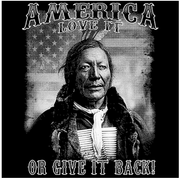 AMERICA-LOVE IT OR GIVE IT BACK-(T-SHIRT-HOODIE-LONG SLEEVE T)