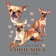 IF IT'S NOT A CHIHUAHUA, IT'S JUST A DOG