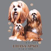 IF IT'S NOT A LHASA APSO, IT'S JUST A DOG