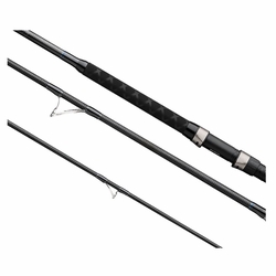 Daiwa Coastal Salt Pro Surf Spinning Rods