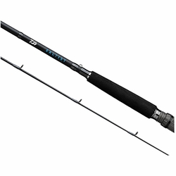 casting daiwa saltist SD Star Drag Reels 2025 duty baitcaster purpose Daiwa 23 Saltist TW 300XH